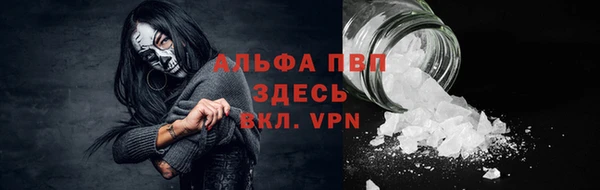 крисы Медногорск