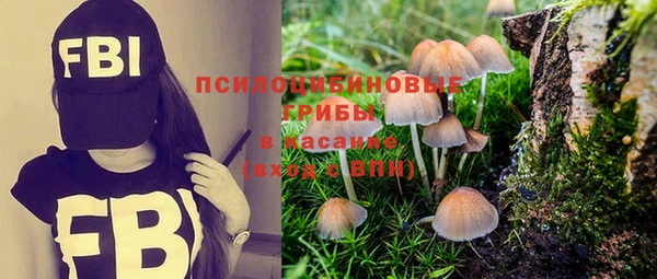 mdpv Мегион
