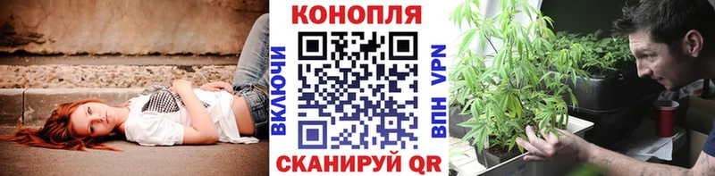 МАРИХУАНА индика  Ладушкин 